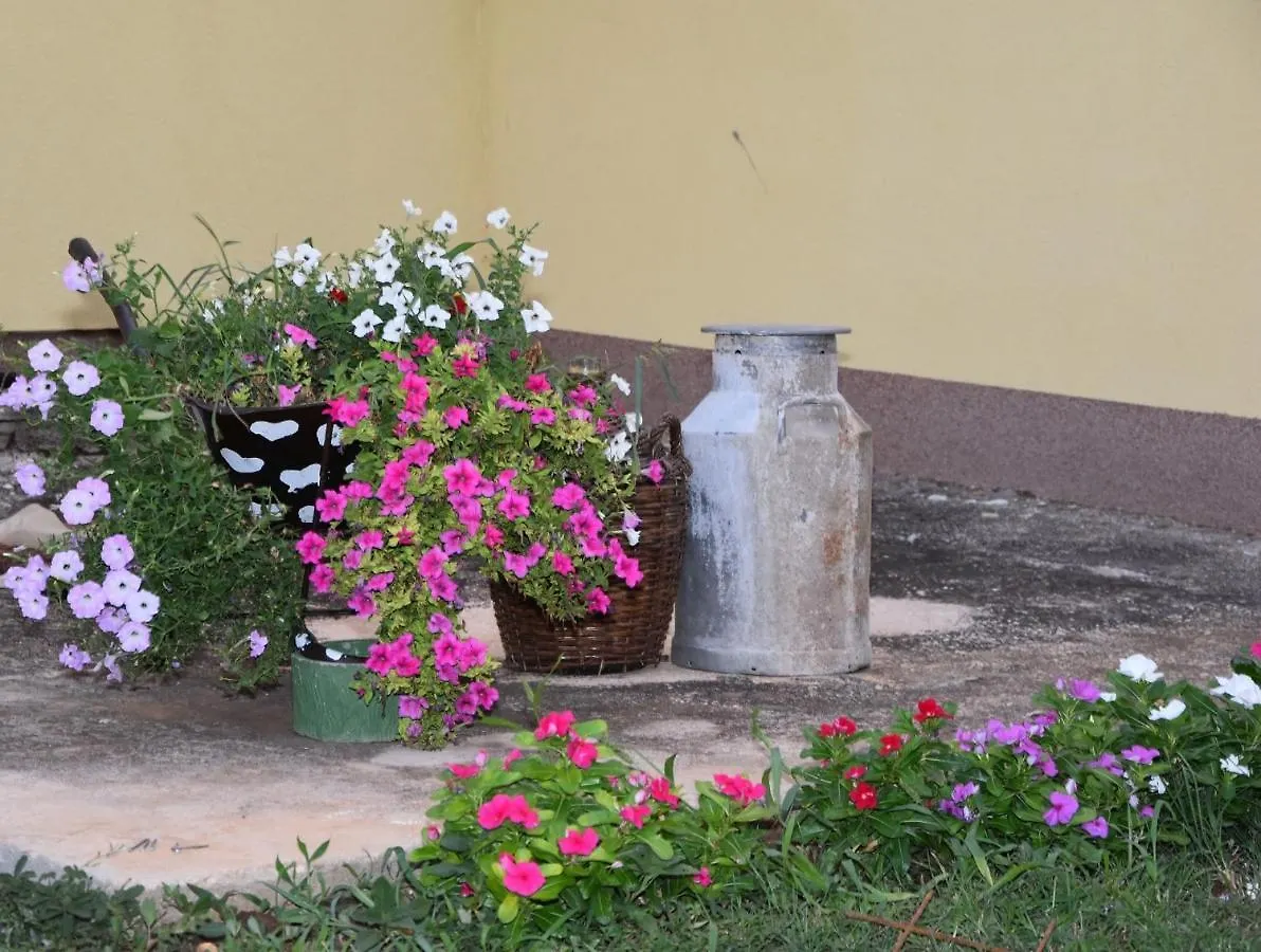 Villa Kutija Sveti Filip i Jakov Croatia