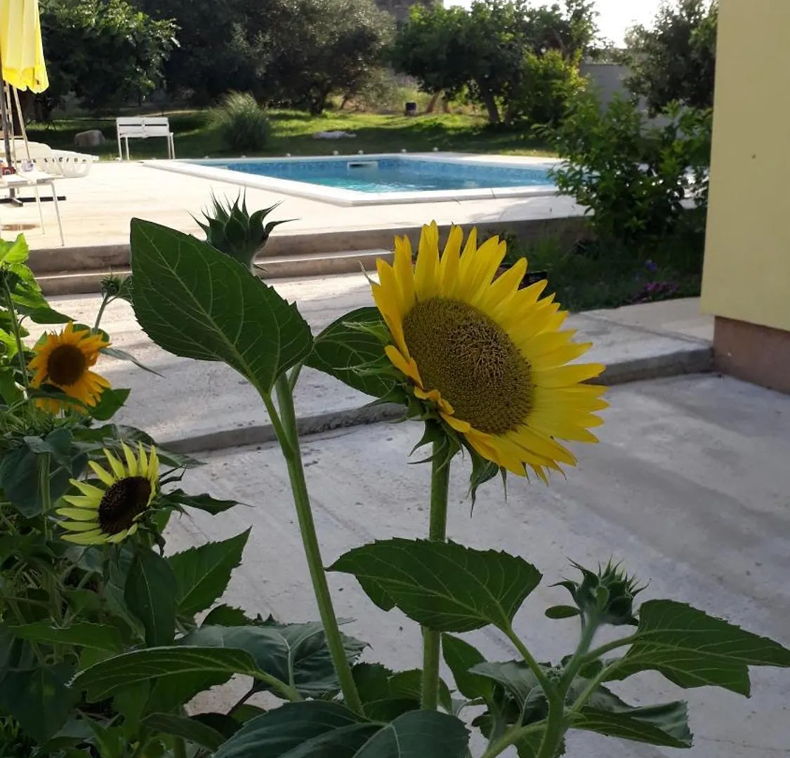 Villa Kutija Sveti Filip i Jakov Croatia